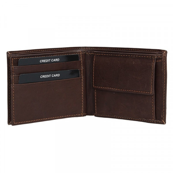 Pánska kožená peňaženka SendiDesign 6001 (P) VT - hnedá