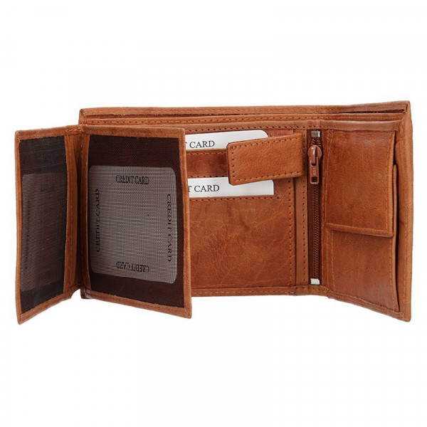 Pánska kožená peňaženka SendiDesign SNW6856 - svetlo hnedá