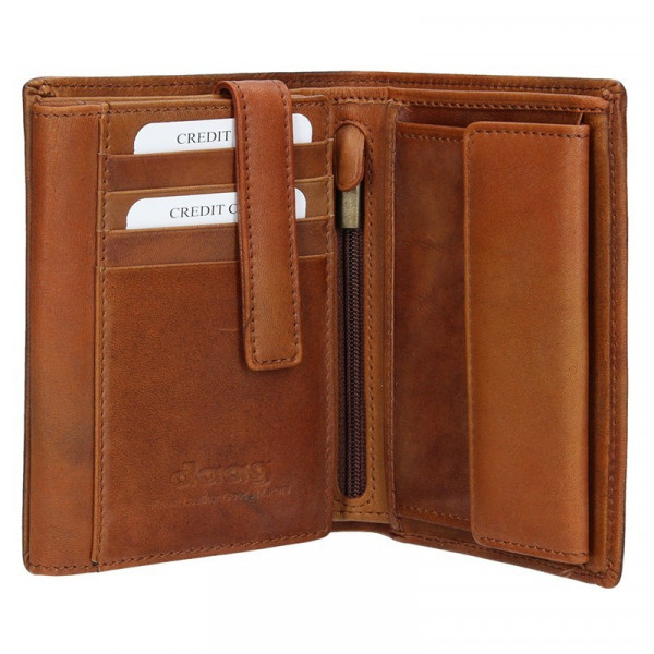 Pánska kožená peňaženka Daag P07 - hnedá