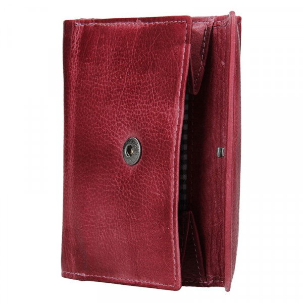 Dámska kožená peňaženka Lagen Norra - fialová