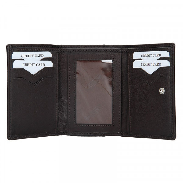 Dámska kožená peňaženka Lagen Leonas - hnedá