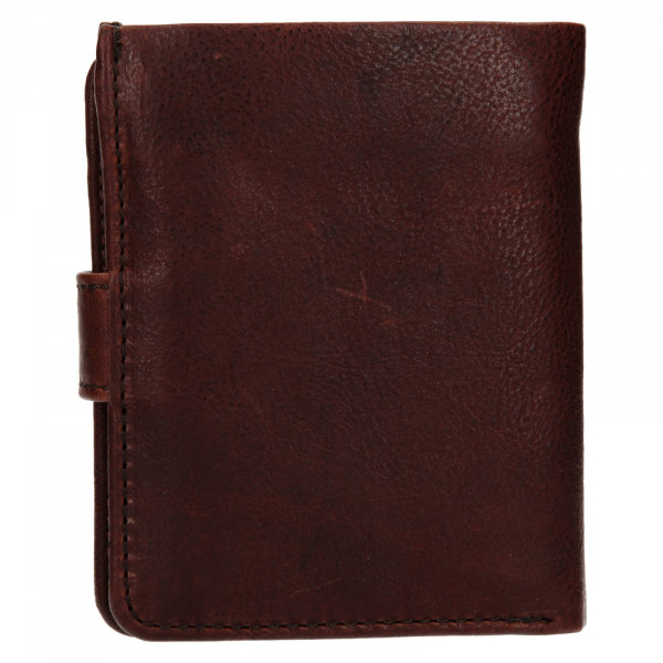 Pánska kožená peňaženka Ashwood Harry - hnedá