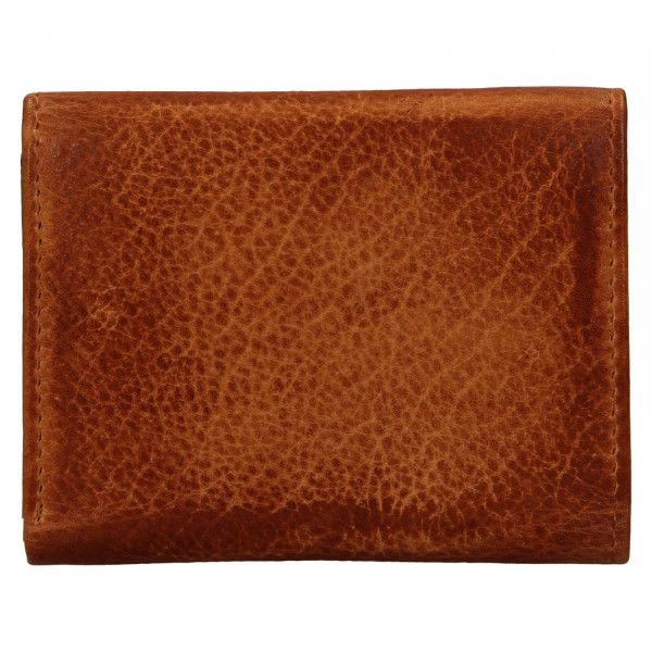 Dámska kožená slim peňaženka Lagen Déborah- hnedá