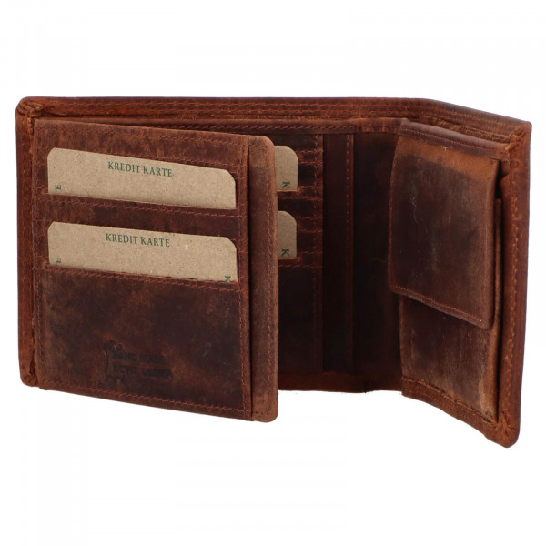 Pánska kožená peňaženka Greenwood Fred - hnedá