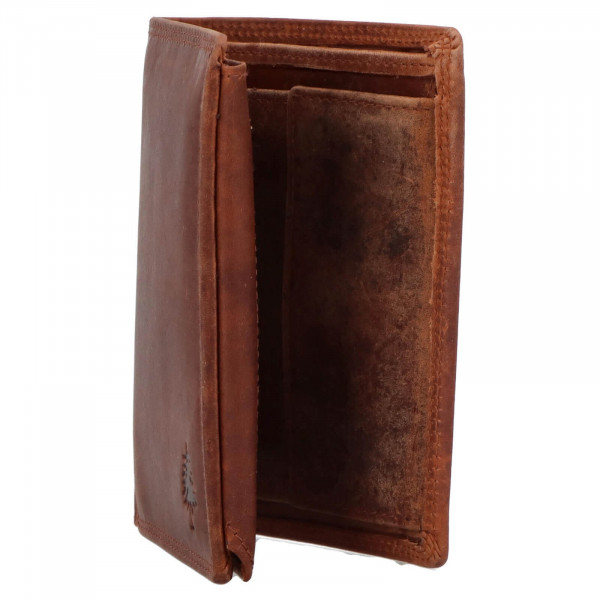 Pánska kožená peňaženka Greenwood Felix - hnedá