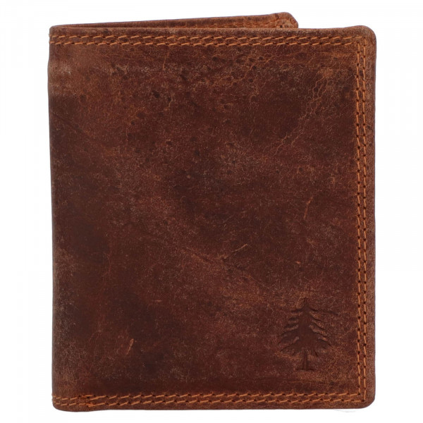 Menšia pánska kožená peňaženka Greenwood Peter - hnedá