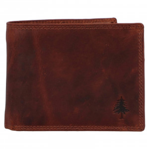 Pánska kožená peňaženka Greenwood Paul - hnedá
