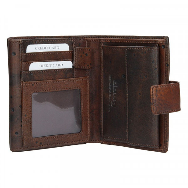 Pánska kožená peňaženka Daag P11a - hnedá